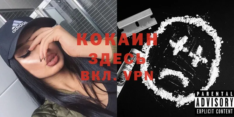 площадка клад  Бийск  COCAIN FishScale 