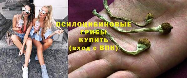 молекула духа Кукмор