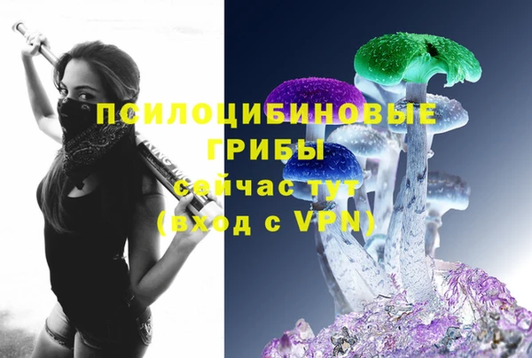 стаф Куйбышев
