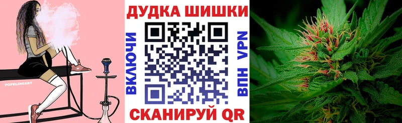 Канабис сатива  магазин продажи наркотиков  Бийск 